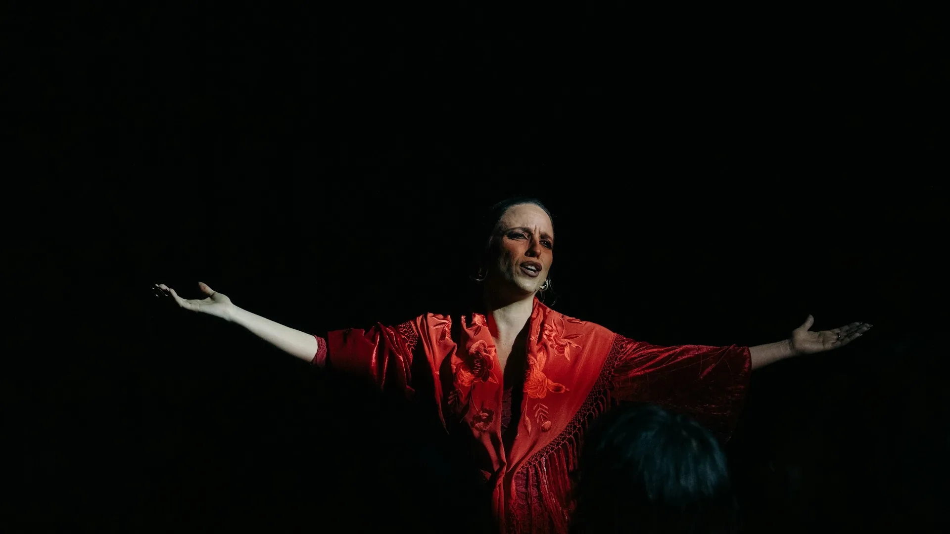 Flamenco performers on a tablao stage in Madrid